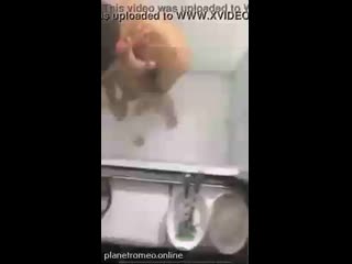 Подсматриваем за дрочащим в душе [гей порно,сосет,минет,парень,мужик,отсосал,gay,porn,video,трахает,трахнул,гея,в попу, лгбт