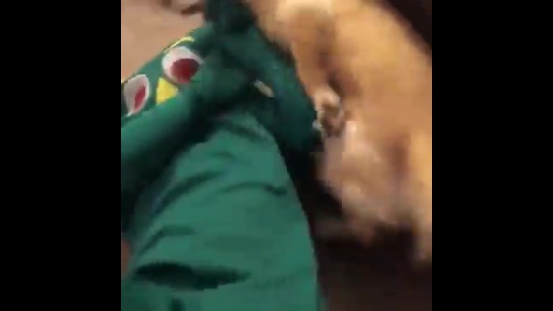 Парень сделал живую копию любимой игрушки своей молодые