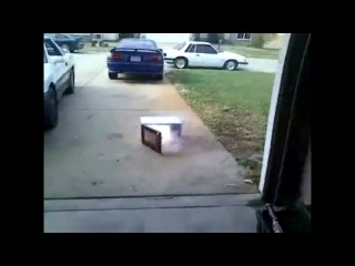 Подборка фейлов за ноябрь 2010