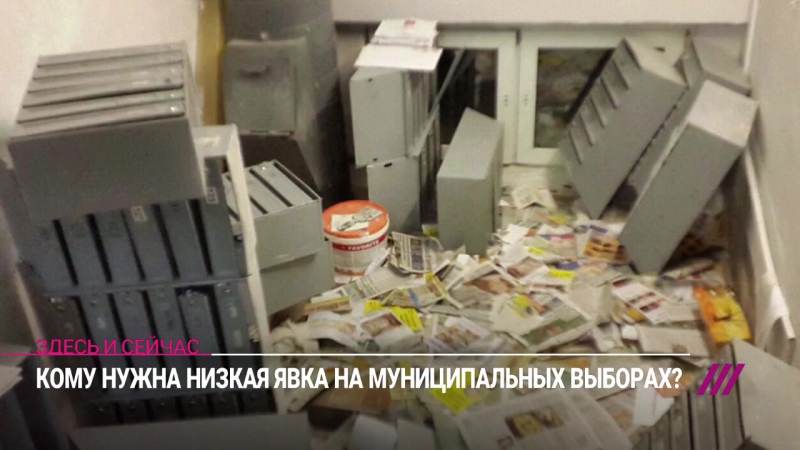 Максим кац о предвыборной кампании муниципальных кандидатов