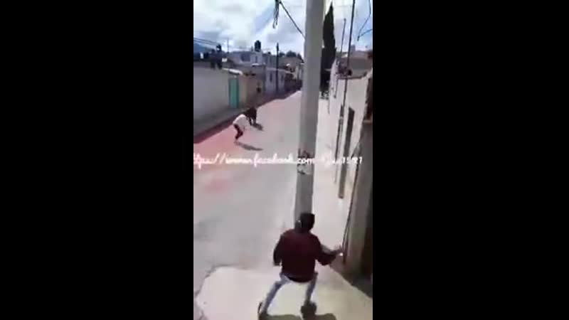 Биоробот довыёбывался