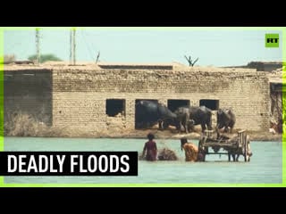 Pakistanis warned of more floods, porn to move