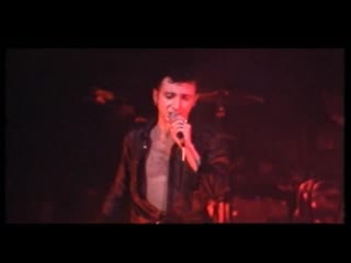 Marc almond the bulls