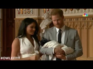 Prince harry and meghan markle introduce their new cat