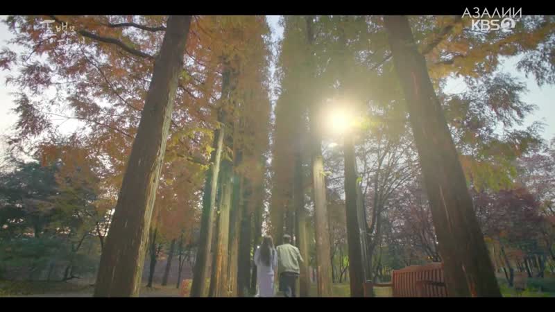 Когда цветет камелия 20/20