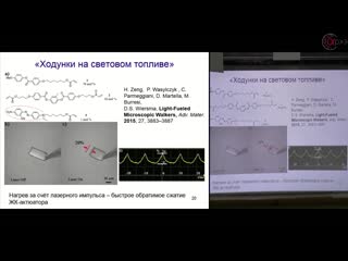 Алексей бобровский как научить полимерные плёнки ползать и летать
