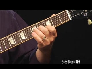 Learn and master blues guitar with steve krenz (dvd5)