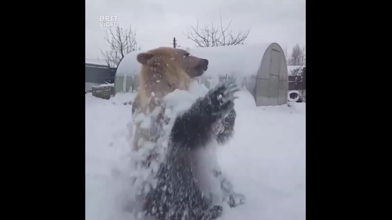 Снег кружится летает и играет