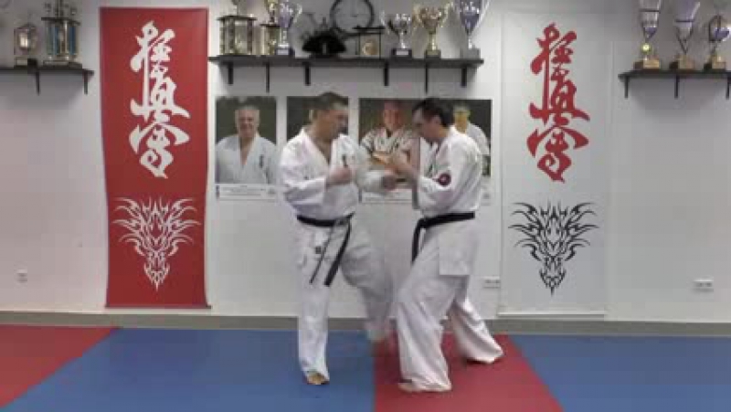 Маваши гери дзёдан с ближней дистанции киокушинкай каратэ