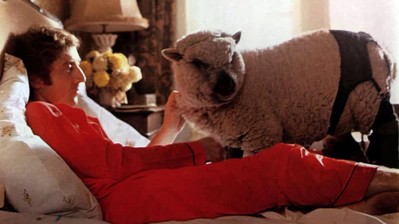 ”все, что вы хотели знать о сексе, но боялись спросить” //1972, комедия// вуди аллен