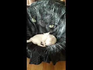 Материнская ласка)