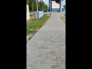 Vid 20170519 105651 mp4