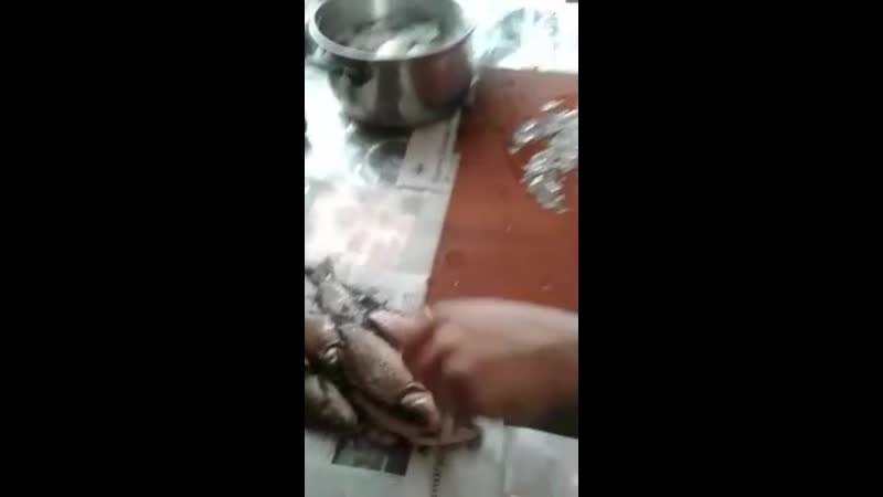 Лайфхак, как просто и быстро почистить карася! kfqa[fr, rfr ghjcnj b,scnhj gjxbcnbnm rfhfcz!