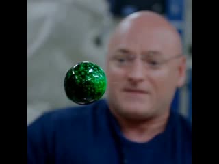 Astronaut dissolves effervescent tablet in water on the iss