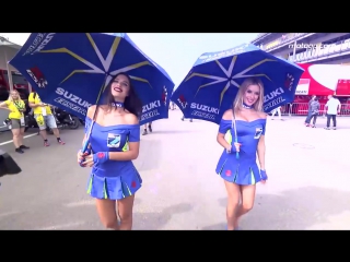 The paddock girls of the italiangp 2017