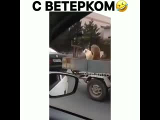 Экстремальное интим видео