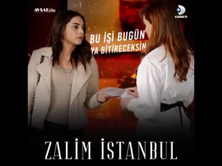 Отрывок «жестокий стамбул»;