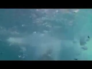 Devid guetta feat akon sexy bitch