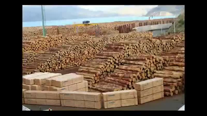 Почему горят леса сибири? распространи это видео