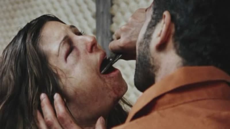 Территории / territories (2010)