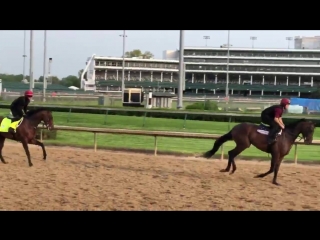An mendelssohn announces his arrival kentuckyderby @twinspires