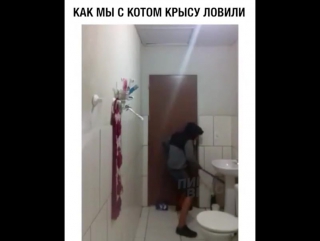 Охота на крысу