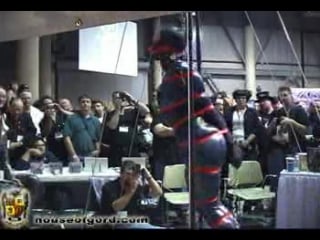 Clairevegastreadmill big (house of gord)