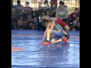 Зрелищная схватка молодых тигров 🤼‍♂️🔝