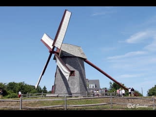 Мельники у себя дома сражаются с землеройками