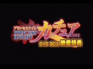 Princess knight catue dvd box special