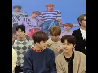 Cutie dohyon & bit