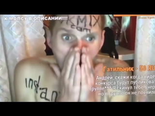 Мопс показывает скилл