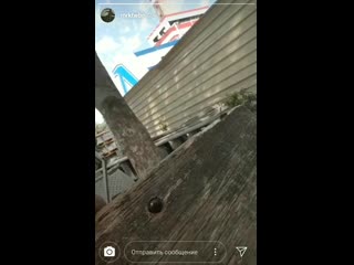 Фарид и шмель mp4