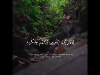 Quran القرآن الكريم قرآن on instagram اكتب ش(mp4)