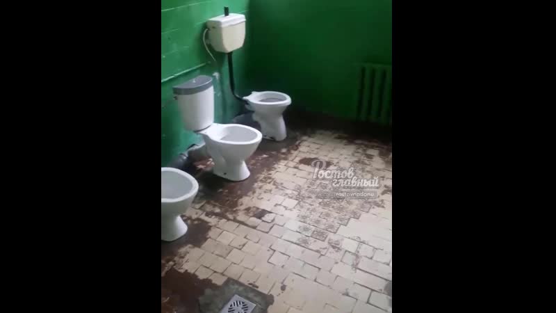 Дону porn video – Позорный туалет в 101 школе ростов на дону главный