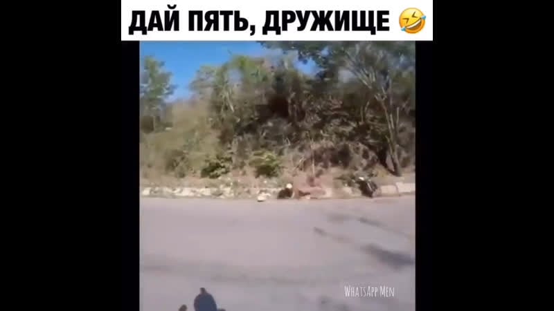 Дай пять дружище 👋