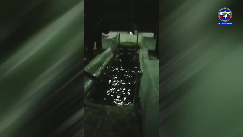 Бразилец с русской душой