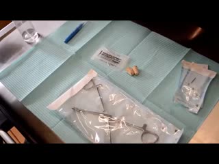 Nipple Piercing Mp4