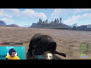 [комарик] врыв после вайпа на блад йелоув в rust/раст