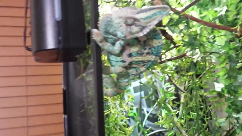 Вы кто такие я вас не звал!