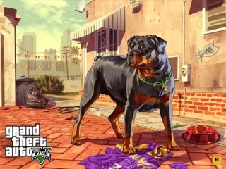 Играем с собакой gta v на pc grand theft auto v гта 5 – кидаем чопу мячик gta 5 на пк