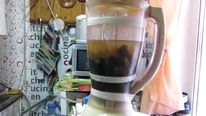 Брага на диких дрожжах пшеницы новый взгляд braga wild yeast wheat new look