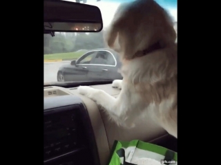 First time seeing windshield wipers