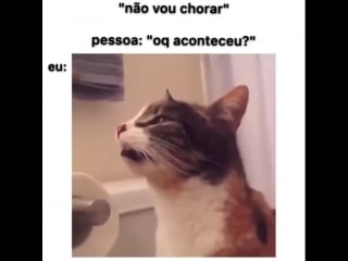 Engole o choro kkkkk