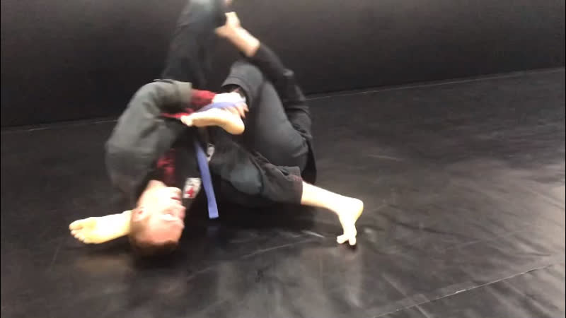 Дневные тренирои