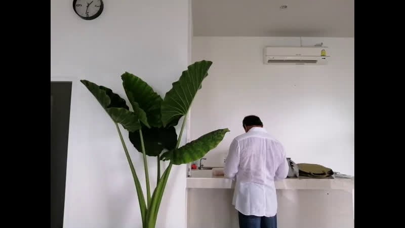 Прямой эфир лекции андрея лапина от 21 апреля 2019