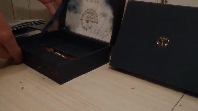 Tomorrowland 2018 распакоа treasure case