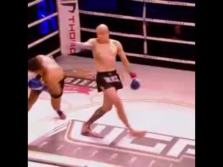 Бои драки спорт бокс bellator ufc мма (2)