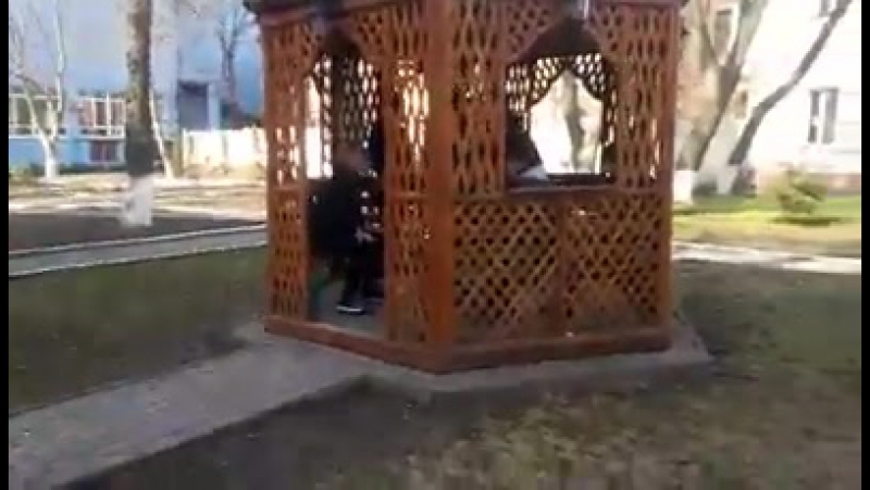 10 "тітушок" на спорті у дворі вінницької ода впіймали активісти