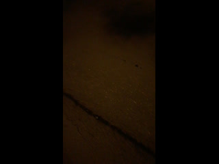 Live нега сени севдим